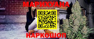 крисы Краснодар
