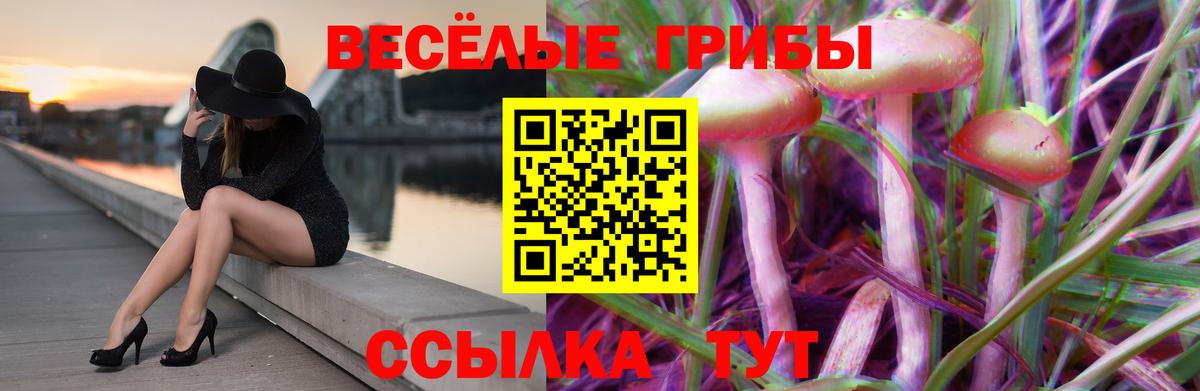 Псилоцибиновые грибы MAGIC MUSHROOMS Красноперекопск